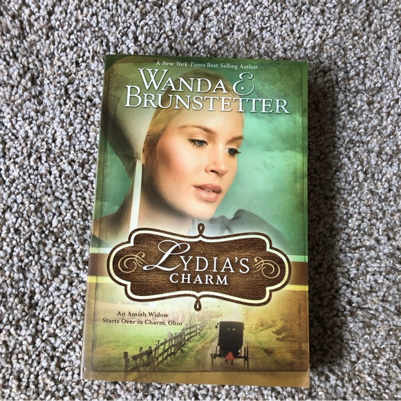 Lydia’s Charm SoftBack Book - Picture 3 of 3